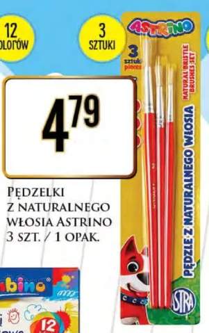 pędzelki