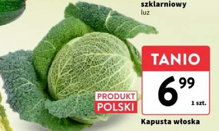 kapusta włoska