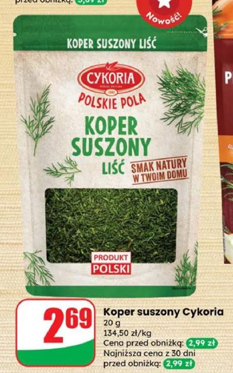 cykoria