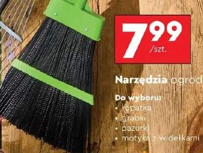 miotła