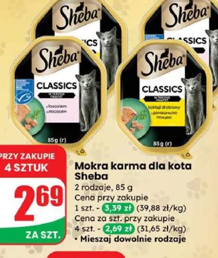karma dla kota
