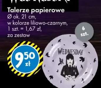 talerze papierowe