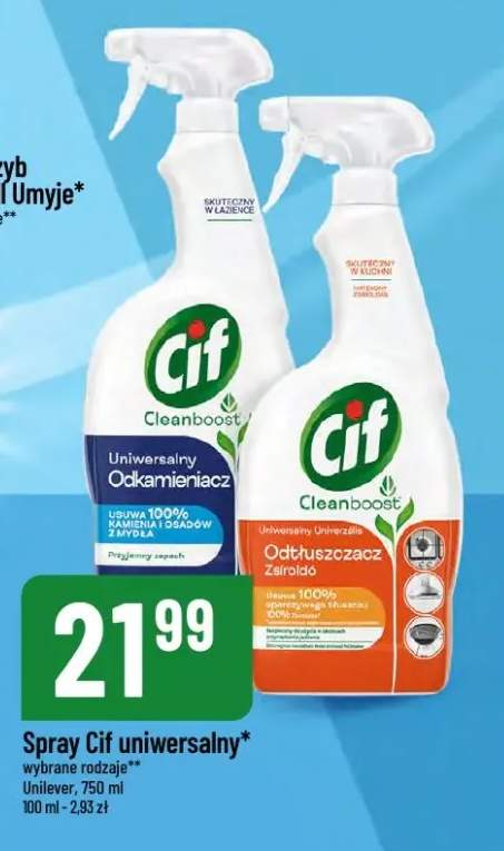spray do czyszczenia