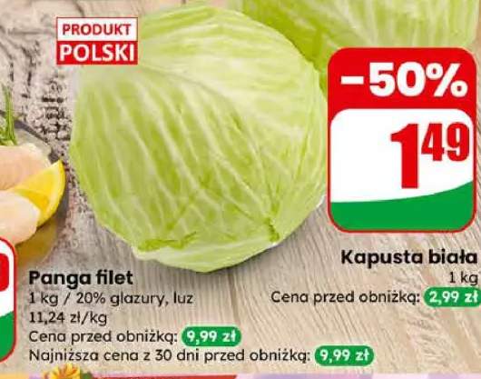 kapusta biała