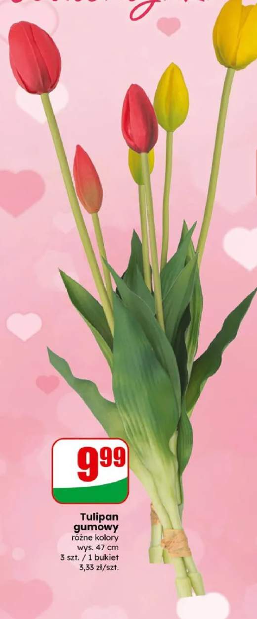 Tulipan gumowy różne kolory