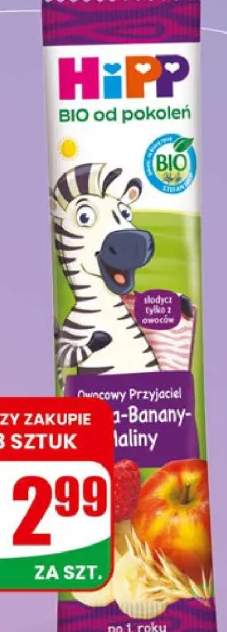Batonik owocowy jabłko banan malina