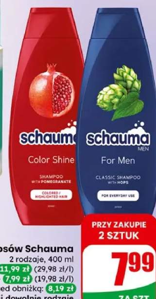 Szampon do włosów Color Shine, For Men
