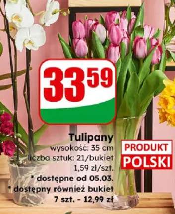 Tulipany