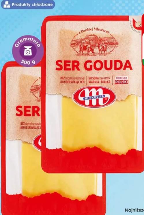 Ser Gouda plastry