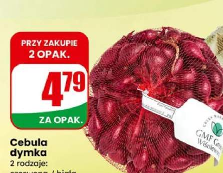 Cebula dymka biała