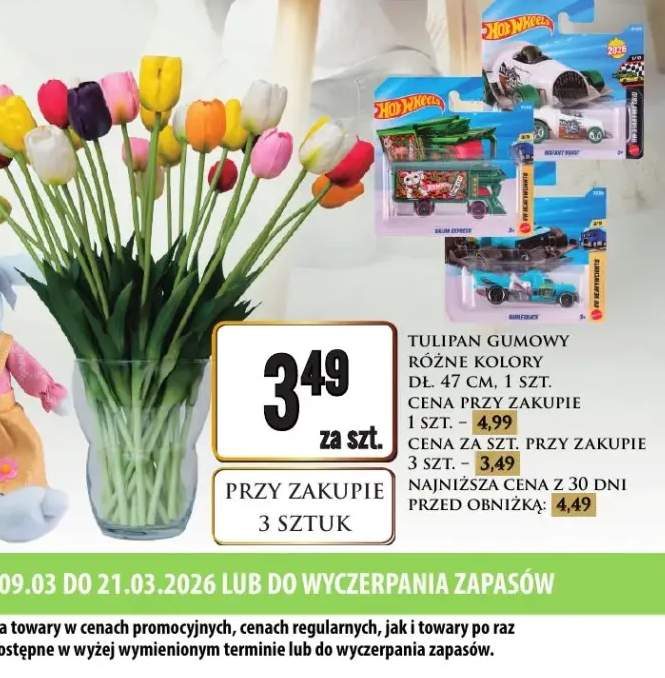 Tulipan gumowy różne kolory