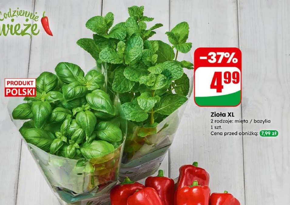 Zioła XL mięta/bazylia