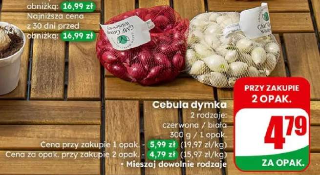 Cebula dymka 2 rodzaje: czerwona / biała