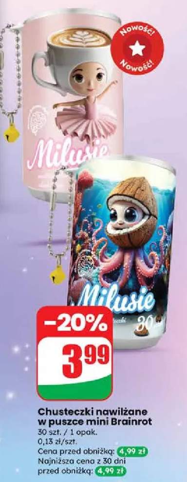 Chusteczki nawilżane w puszce mini Brainrot