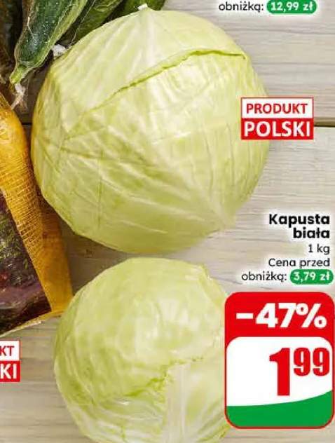 Kapusta biała