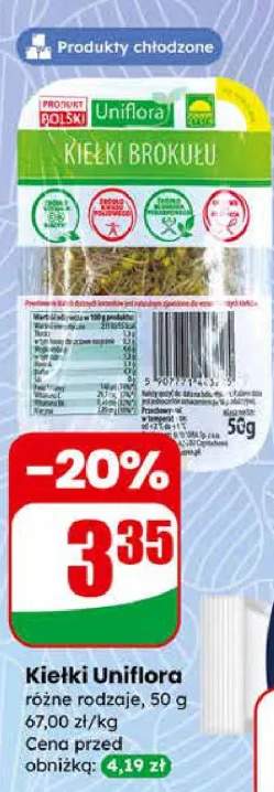 Kiełki różne rodzaje