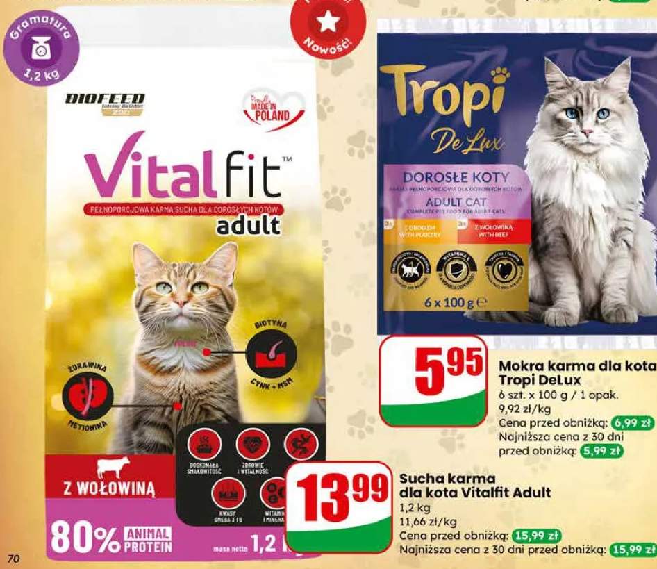 Sucha karma dla kota Adult