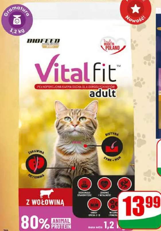 Sucha karma dla kota Adult