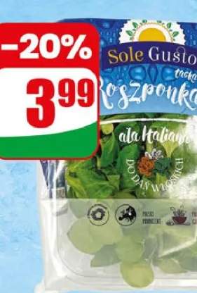 Sałata rukola, roszponka, szpinak