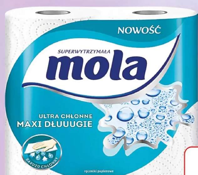 Ręcznik papierowy Mola