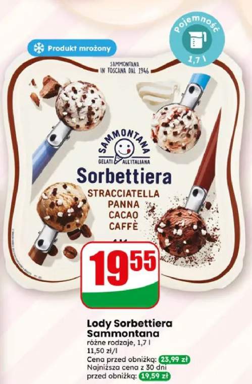 Lody Sorbettiera Sammontana różne rodzaje
