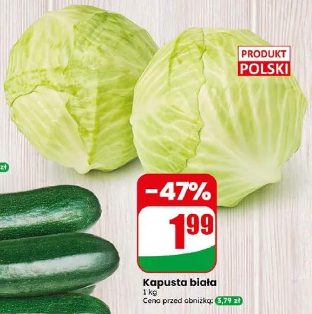 Kapusta biała