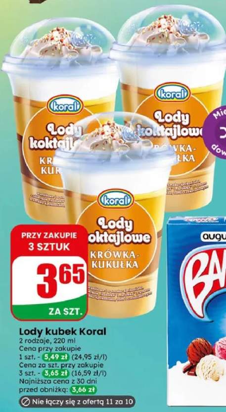 Lody kubek Koral 2 rodzaje