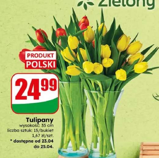Tulipany