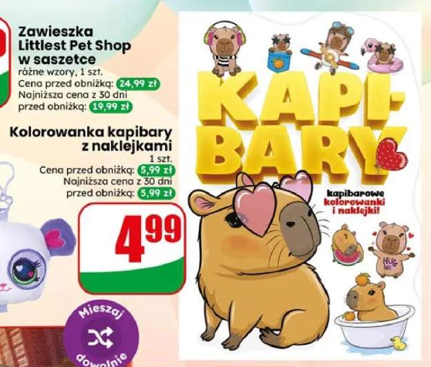 Kolorowanka kapibary z naklejkami 1szt.