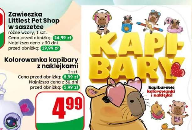 Kolorowanka kapibary z naklejkami 1szt.