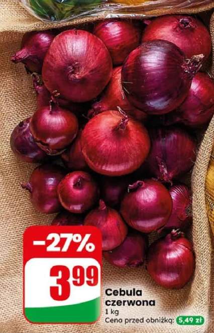 Cebula czerwona