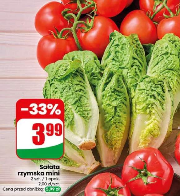 Sałata rzymska mini