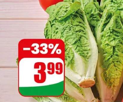 Sałata rzymska mini
