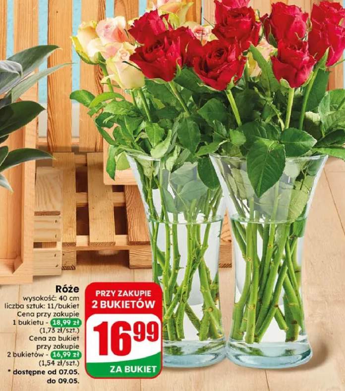 Róże wysokość 40cm 11szt/bukiet