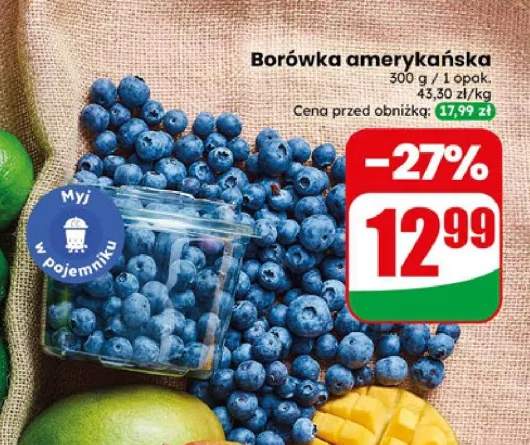 Borówka amerykańska
