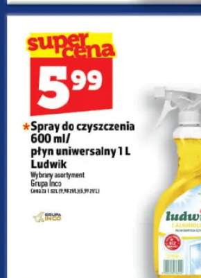 spray do czyszczenia