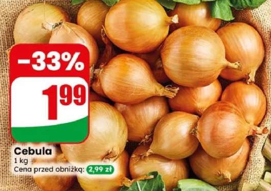 Cebula