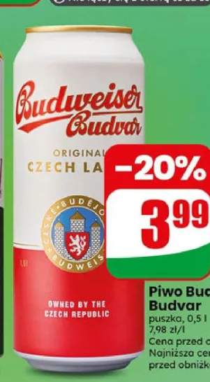 Piwo Budweiser Budvar puszka