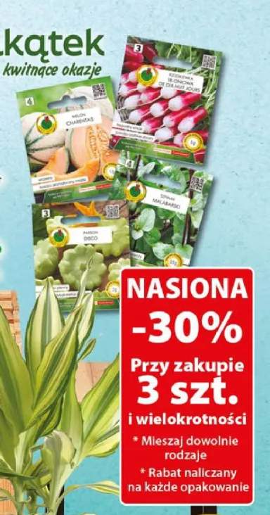 Nasiona Melon