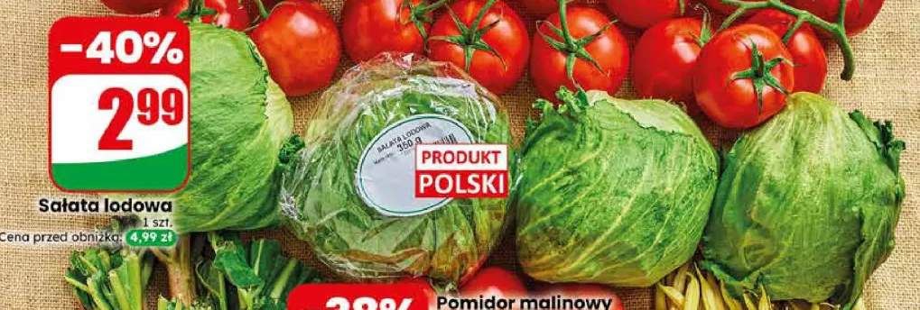 Sałata lodowa