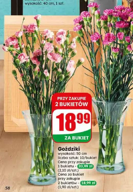 Goździki