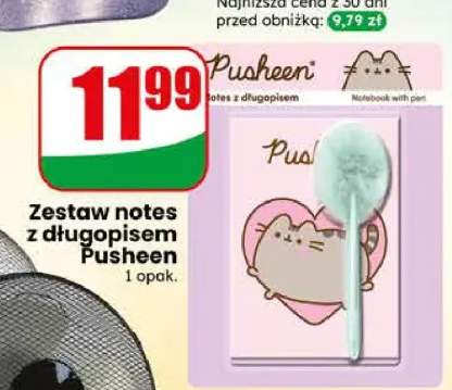Zestaw notes z długopisem Pusheen