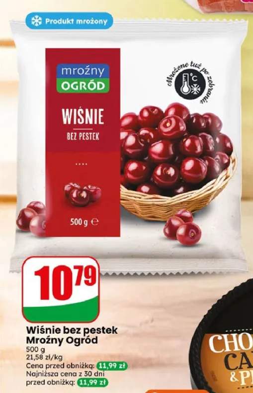 Wiśnie bez pestek Mroźny Ogród