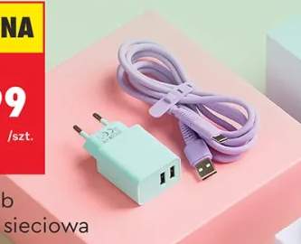 ładowarka sieciowa