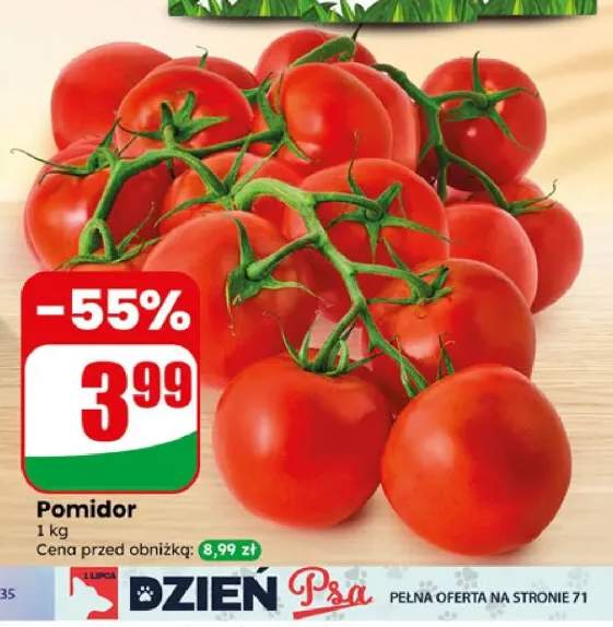Pomidor