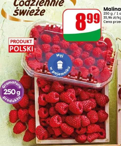 Malina polska