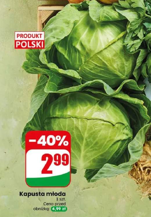 Kapusta młoda