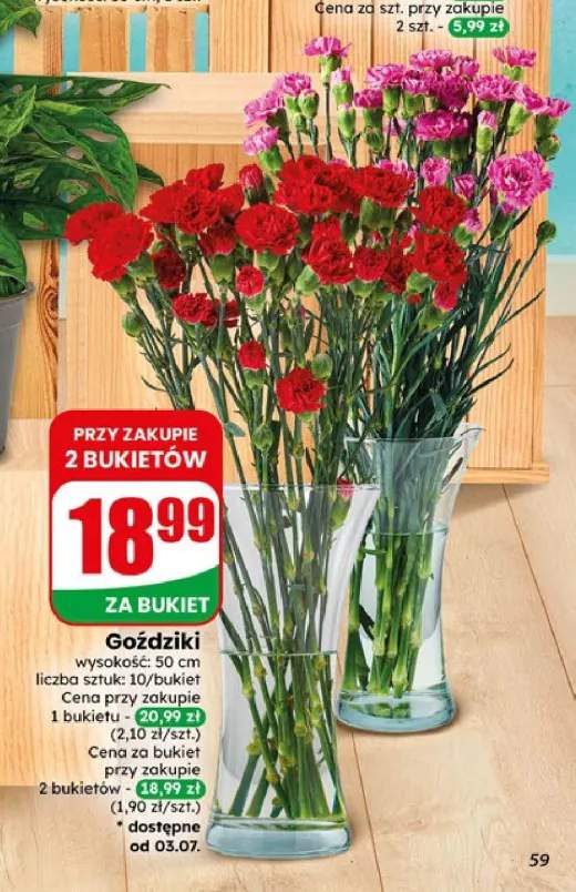 Goździki bukiet 10 sztuk
