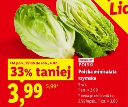 sałata rzymska