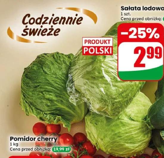 Sałata lodowa